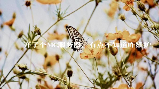 开了个MC服务器，有点不知道咋维护，有谁愿意帮我看看嘛？