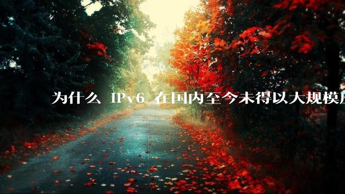 为什么 IPv6 在国内至今未得以大规模应用?