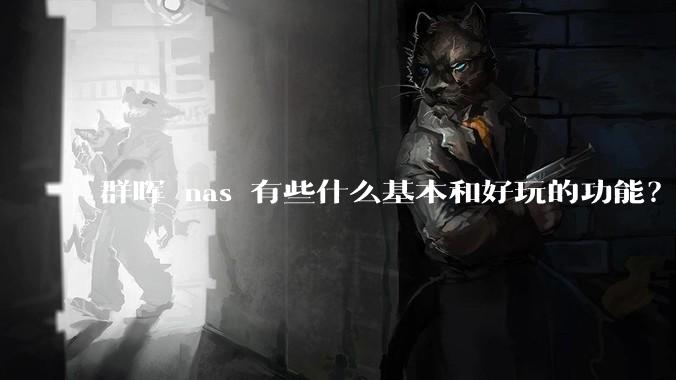 群晖 nas 有些什么基本和好玩的功能？